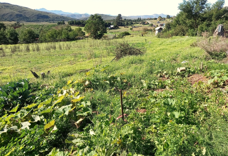 Commercial Property for Sale in Haarlem Western Cape